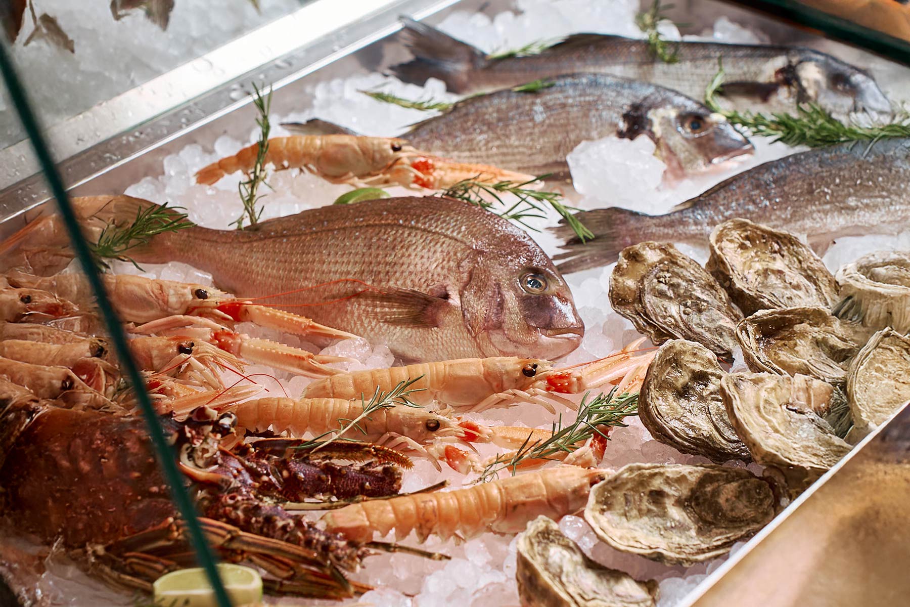 VENTO_italian_cuisine_01